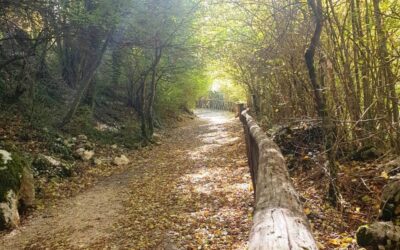 Equinozio d’autunno, la luce che insegna a guardare nell’ombra